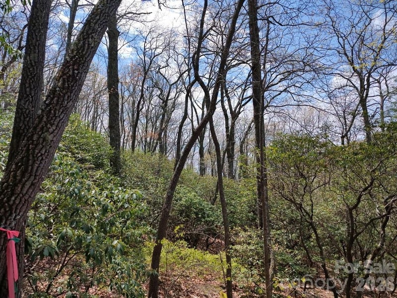 99999 Red Oak Forest Rd #1418, Fairview, NC 28730