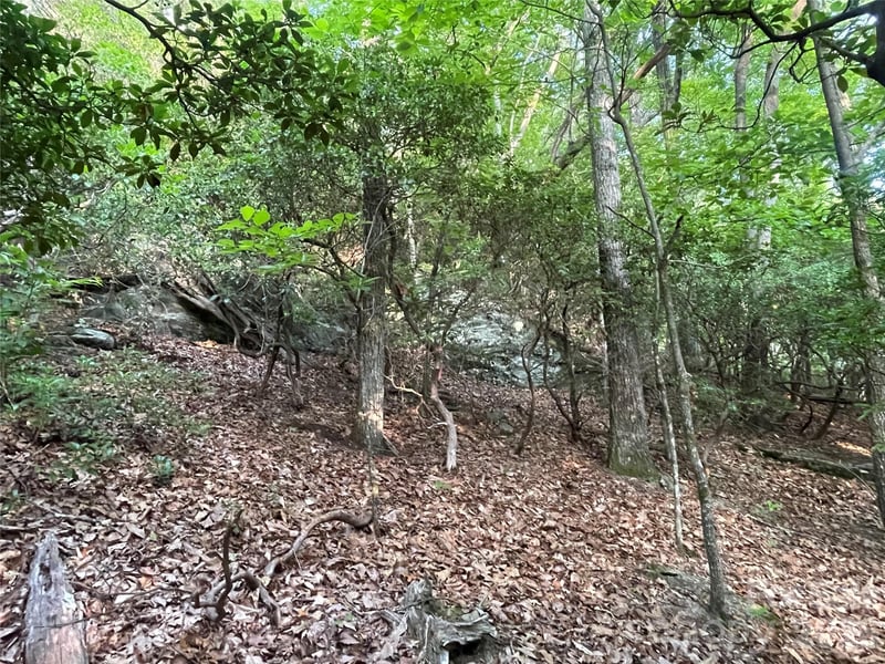 99999 Red Oak Forest Rd #1418, Fairview, NC 28730