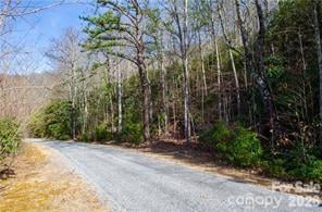 99999 Red Oak Forest Rd #1418, Fairview, NC 28730