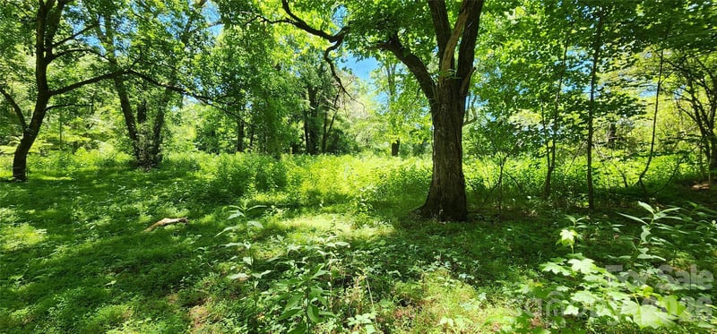 171 Bambi Ln, Mill Spring, NC 28782