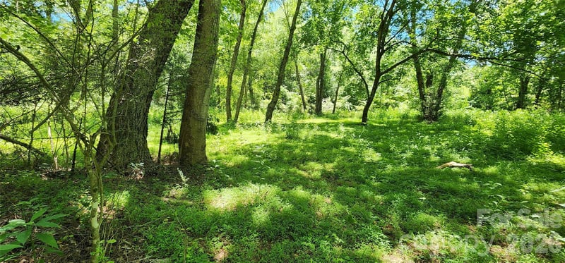 171 Bambi Ln, Mill Spring, NC 28782