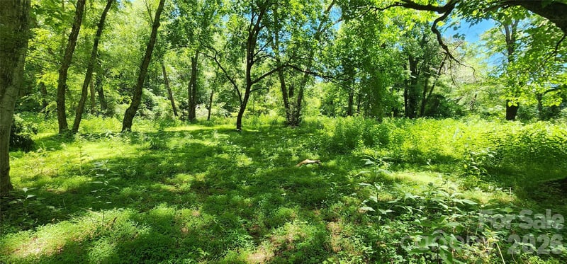 171 Bambi Ln, Mill Spring, NC 28782