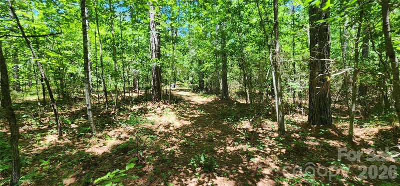 171 Bambi Ln, Mill Spring, NC 28782