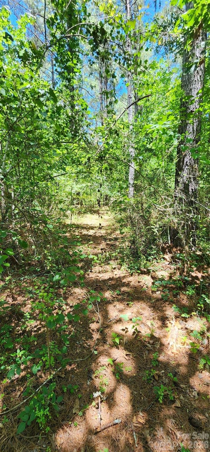 171 Bambi Ln, Mill Spring, NC 28782