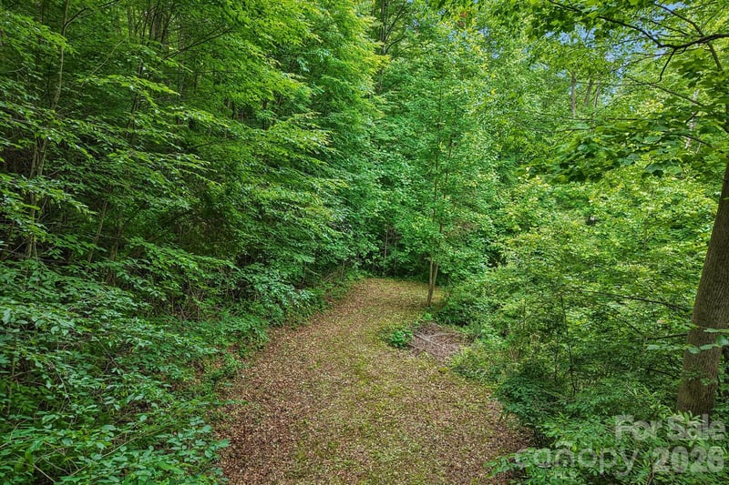 00 Sequoyah Dr, Waynesville, NC 29786