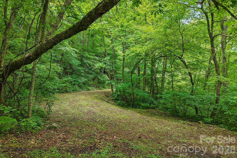 00 Sequoyah Dr, Waynesville, NC 29786