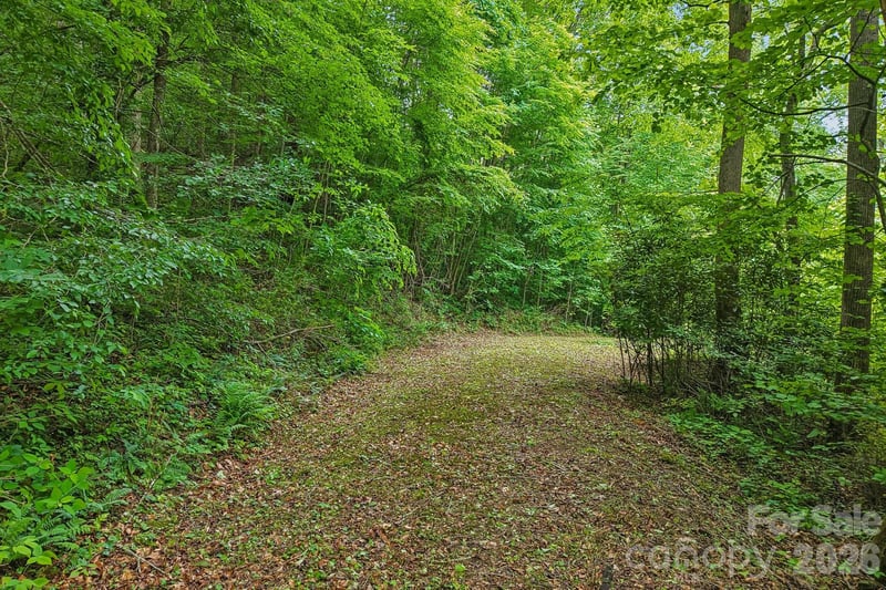 00 Sequoyah Dr, Waynesville, NC 29786