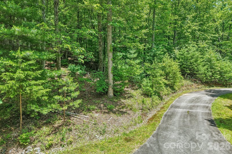 11 Magnolia Branch Dr, Zirconia, NC 28790