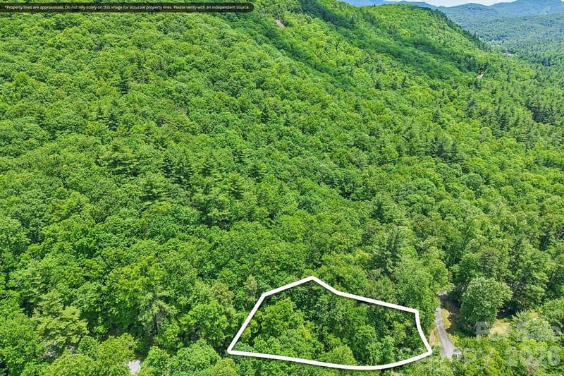 11 Magnolia Branch Dr, Zirconia, NC 28790