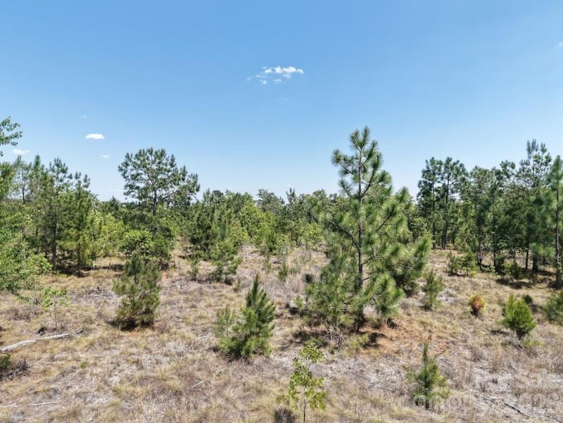 2 Mcqueen Rd, Patrick, SC 29584