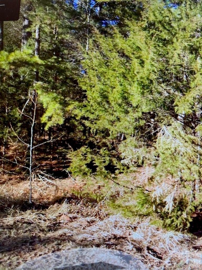 1220 Long Pine Church Rd, Peachland, NC 28133