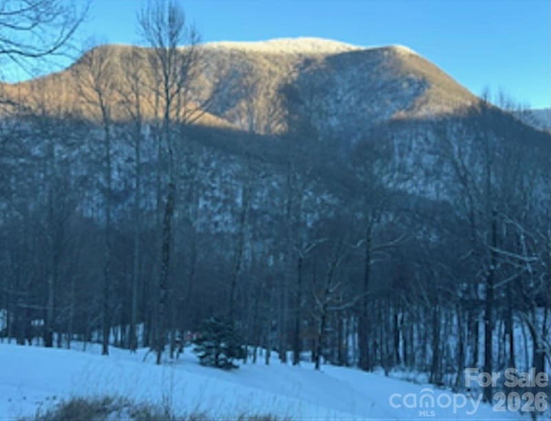 302 Davy Crockett Dr, Maggie Valley, NC 28751