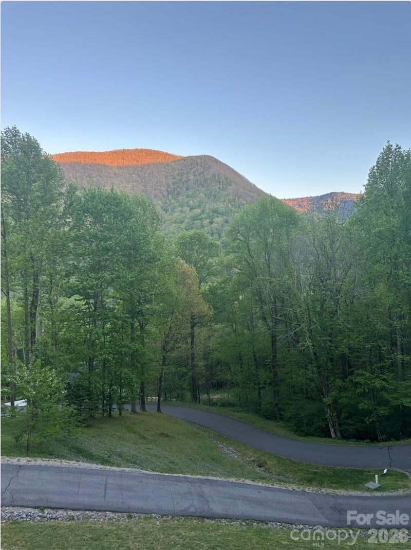 302 Davy Crockett Dr, Maggie Valley, NC 28751