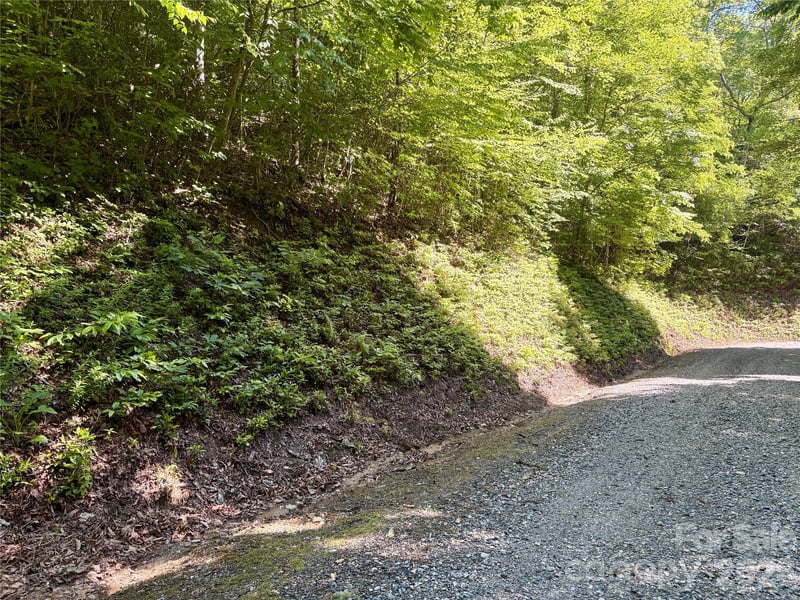 Middle Rg #38, Whittier, NC 28789