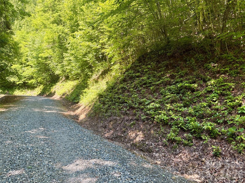 Middle Rg #38, Whittier, NC 28789