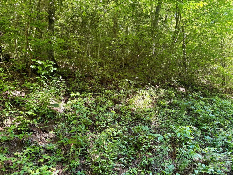 Middle Rg #38, Whittier, NC 28789