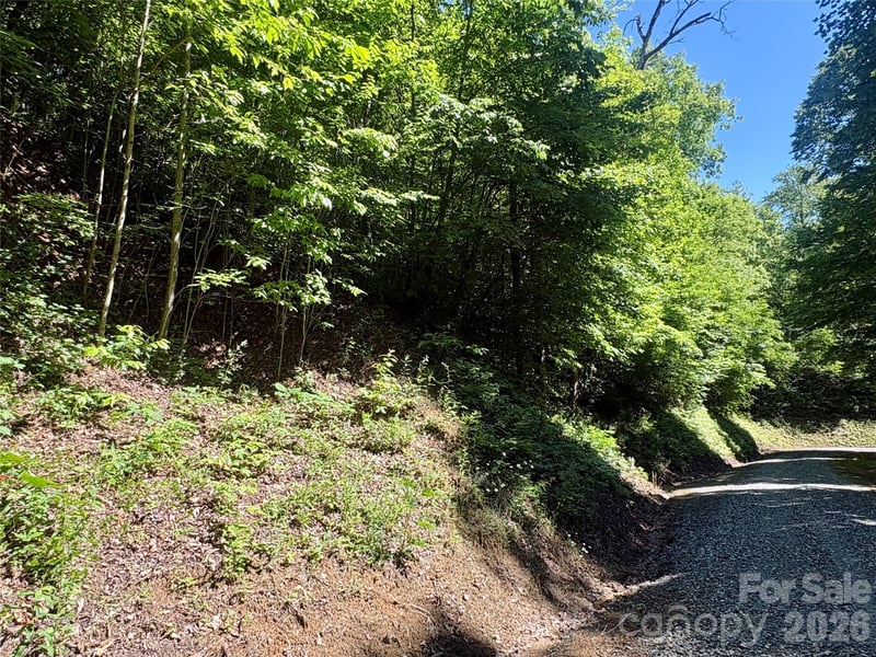 Middle Rg #38, Whittier, NC 28789