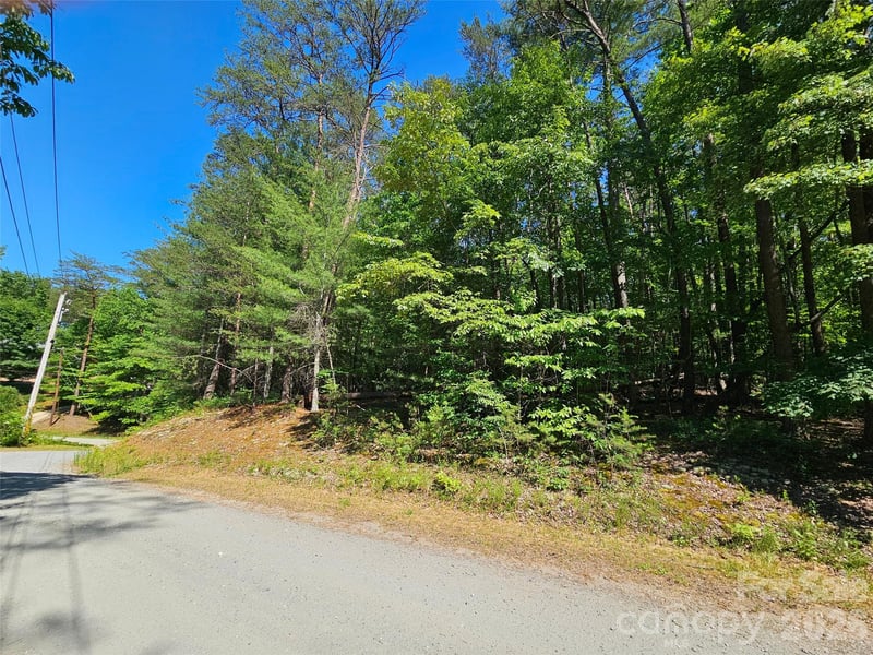 136 Doves Way #136, Lake Lure, NC 28746