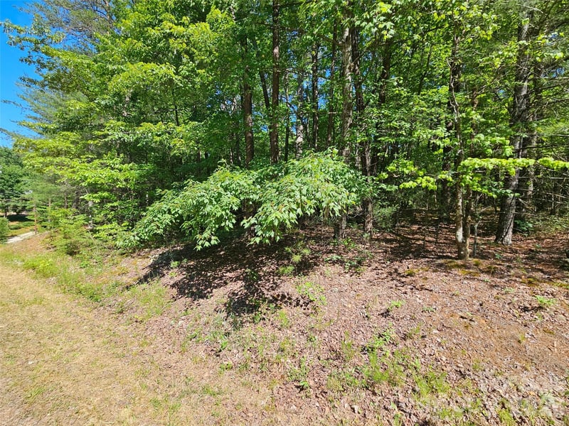 136 Doves Way #136, Lake Lure, NC 28746