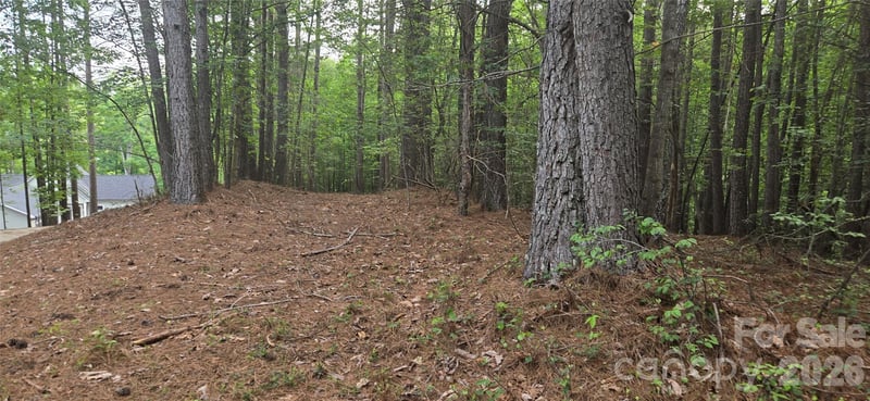154 Oak Point Ln #3, Stony Point, NC 28678