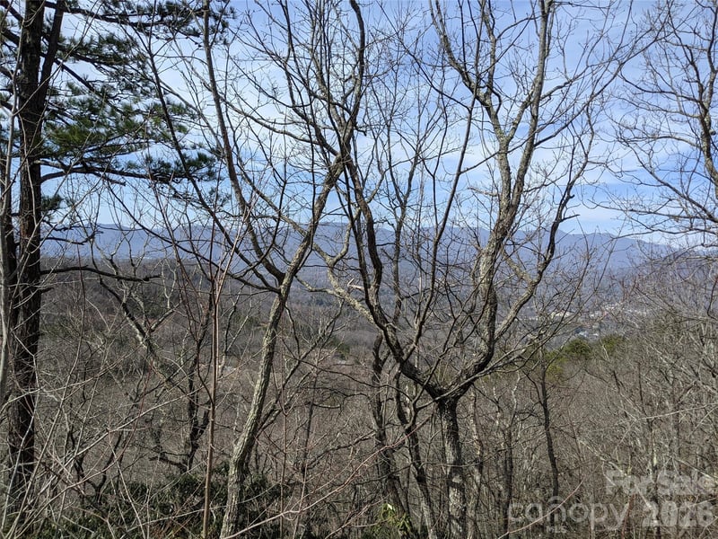 124 Settings Blvd, Black Mountain, NC 28711