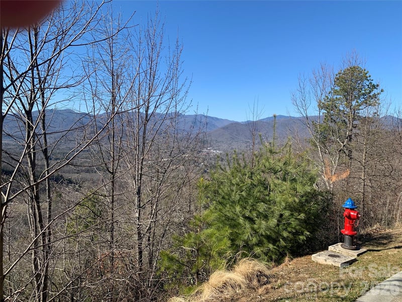 124 Settings Blvd, Black Mountain, NC 28711