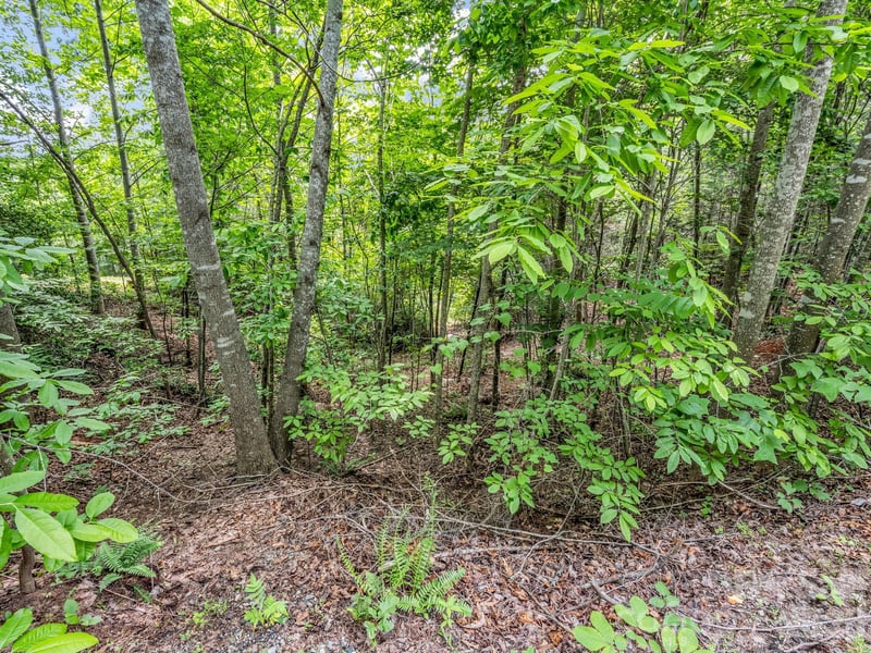 Sandpiper Ave, Lake Lure, NC 28746