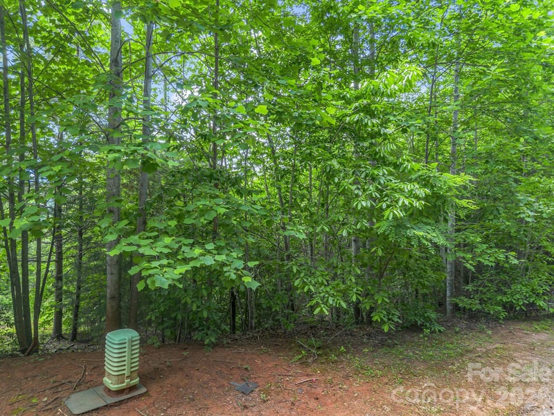 Sandpiper Ave, Lake Lure, NC 28746