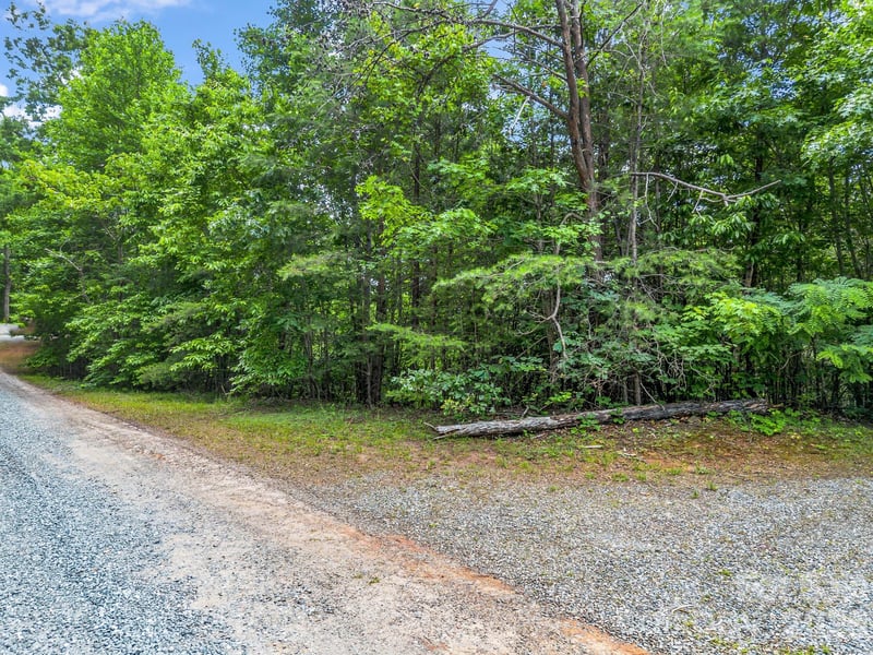 Sandpiper Ave, Lake Lure, NC 28746
