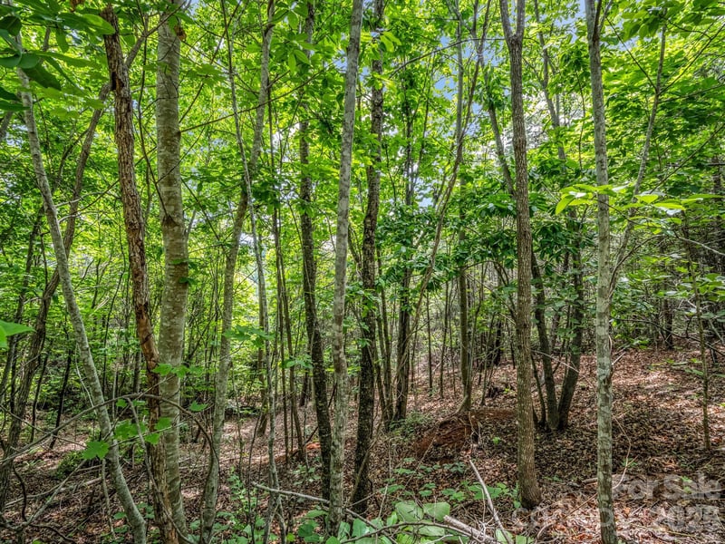Sandpiper Ave, Lake Lure, NC 28746