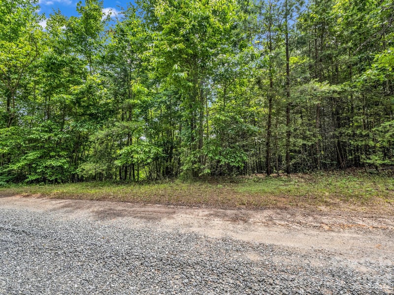 Sandpiper Ave, Lake Lure, NC 28746