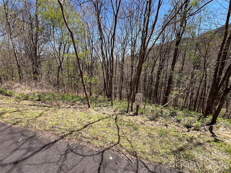 LOT 62 Bob Timberlake Dr #62, Boone, NC 28607