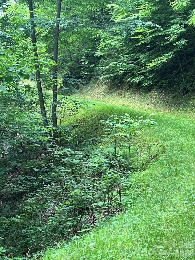 99999 Davidson Gap Rd #79, Leicester, NC 28748