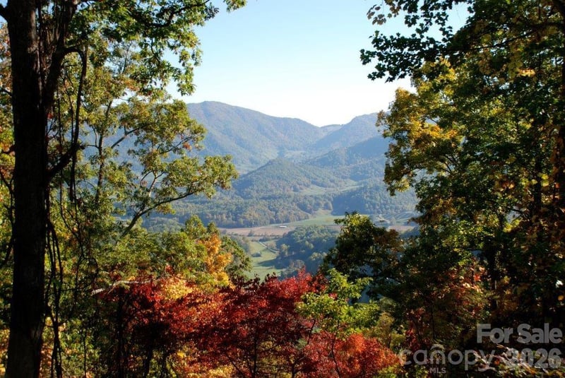 99999 Davidson Gap Rd #79, Leicester, NC 28748