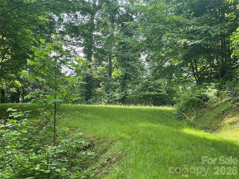 99999 Davidson Gap Rd #79, Leicester, NC 28748