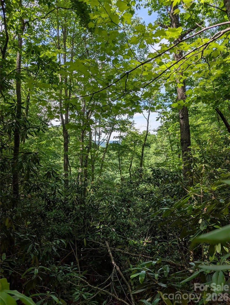 000 Pisgah Hw, Candler, NC 28715