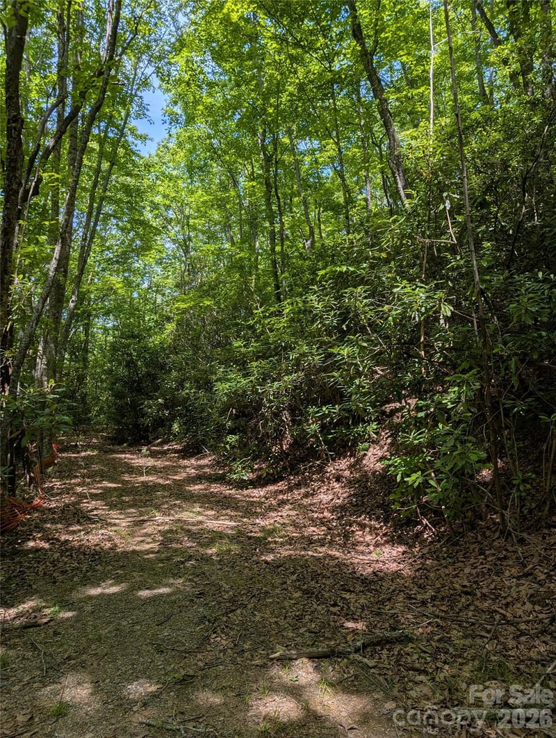 000 Pisgah Hw, Candler, NC 28715