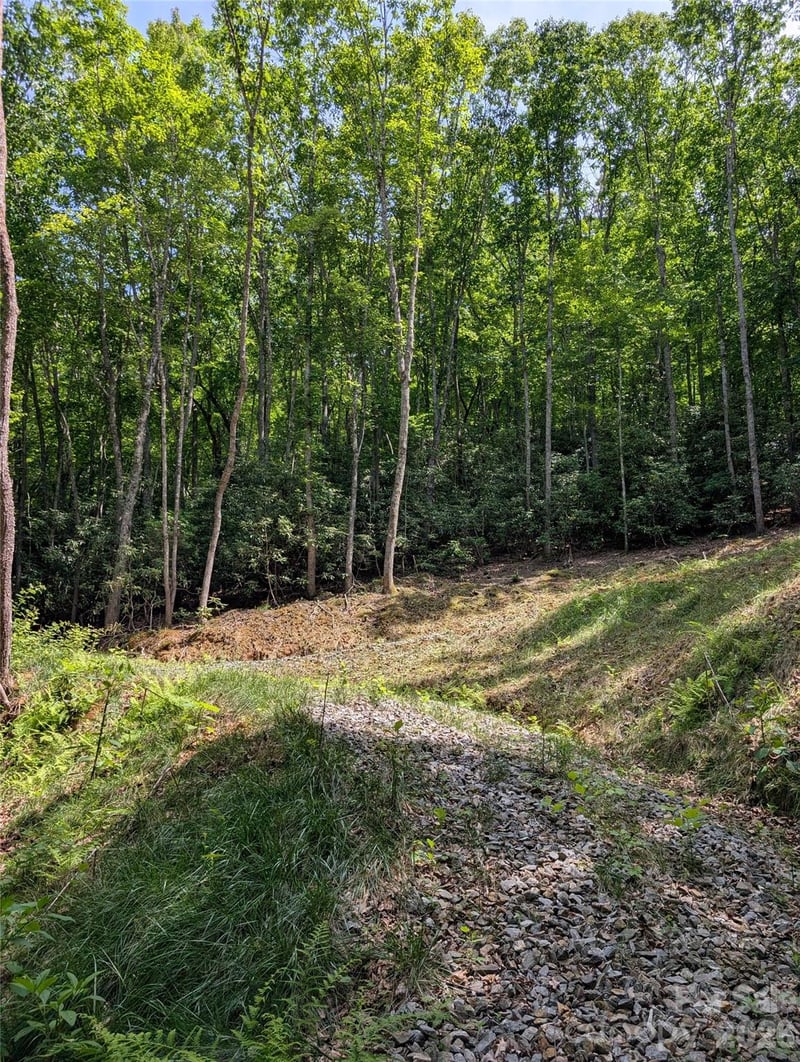 000 Pisgah Hw, Candler, NC 28715