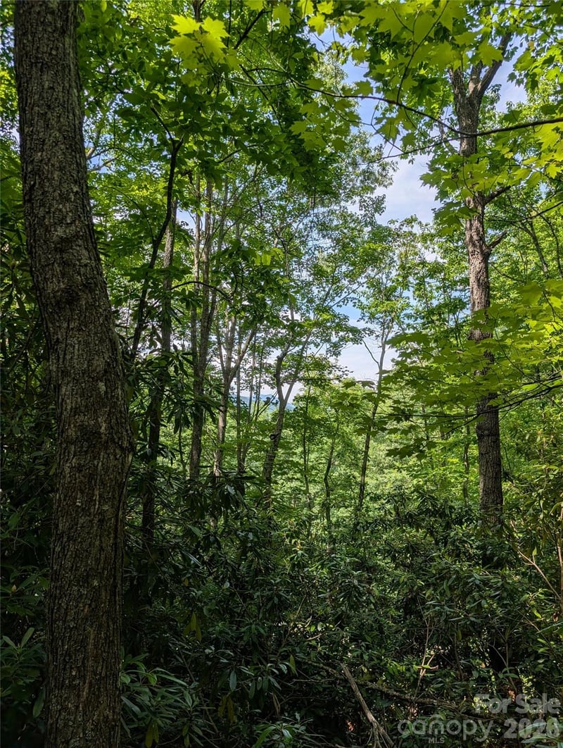 000 Pisgah Hw, Candler, NC 28715