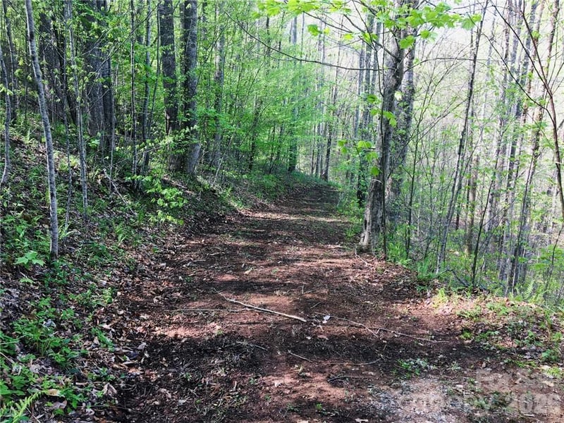 99 Fern Hill Dr, Mars Hill, NC 28754