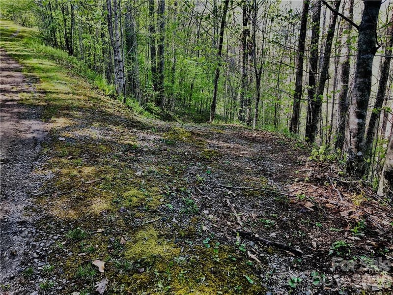 99 Fern Hill Dr, Mars Hill, NC 28754