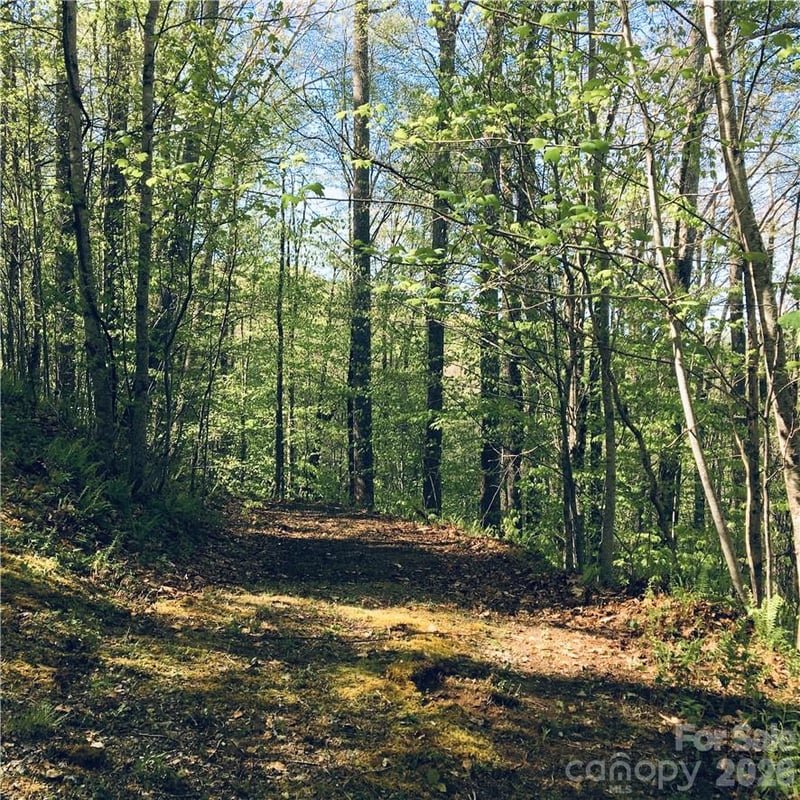 57 Fern Hill Dr, Mars Hill, NC 28754