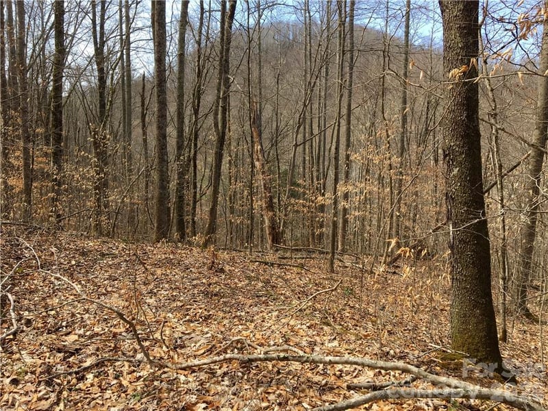 57 Fern Hill Dr, Mars Hill, NC 28754