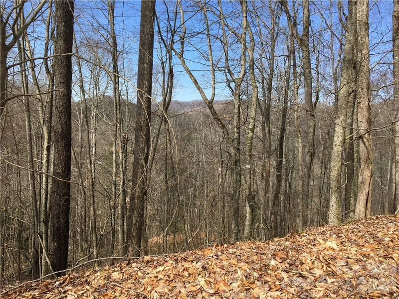 57 Fern Hill Dr, Mars Hill, NC 28754