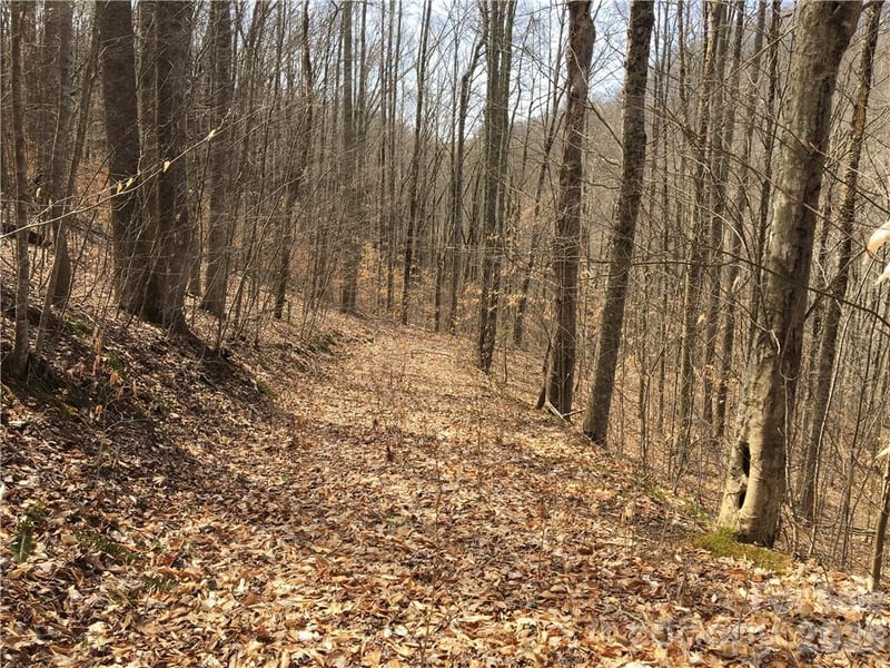 57 Fern Hill Dr, Mars Hill, NC 28754