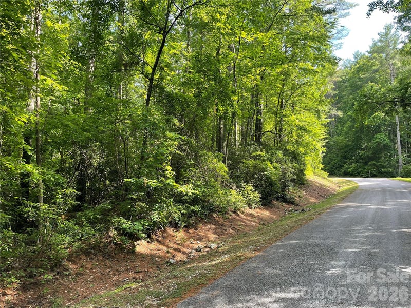 Lot 45 Abby Falls Dr, Rosman, NC 28772