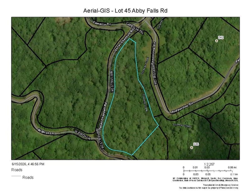 Lot 45 Abby Falls Dr, Rosman, NC 28772