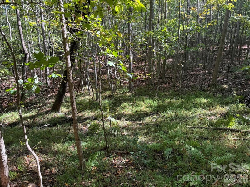 Biscoe Rd, Troy, NC 27371