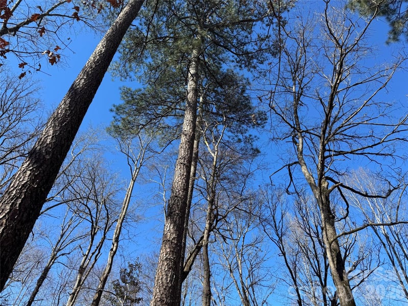 Biscoe Rd, Troy, NC 27371