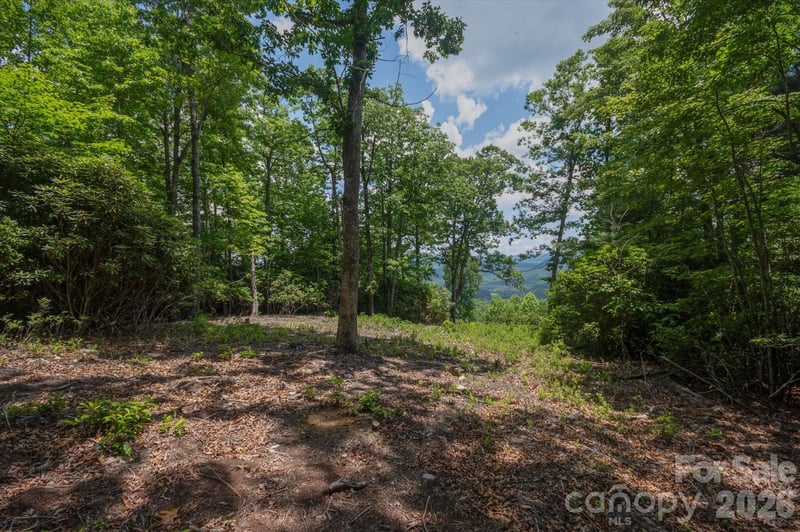 TBD Reserve Rd #16, Pisgah Forest, NC 28768